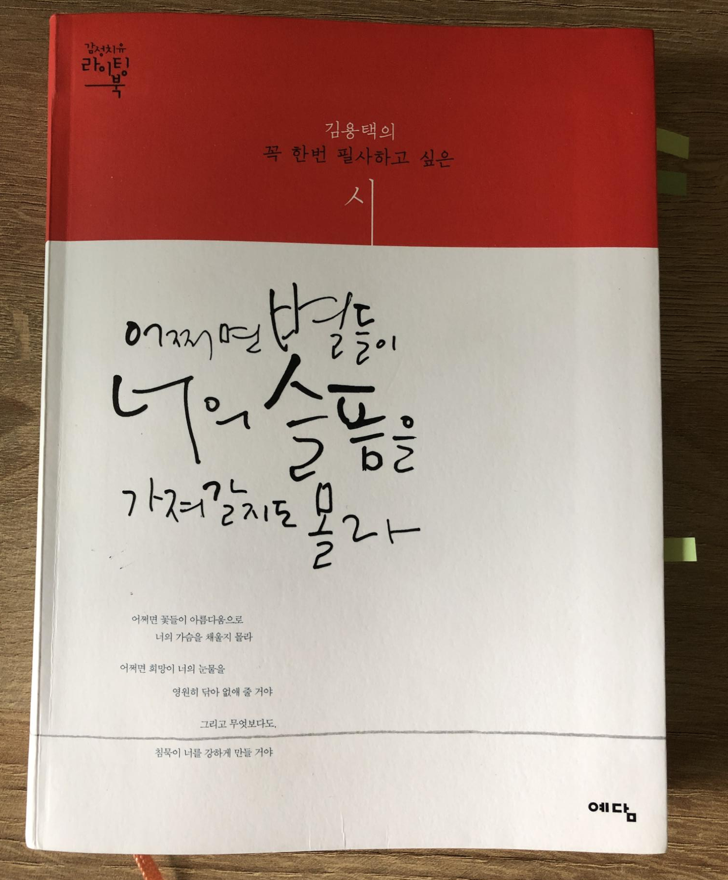  어쩌면 별들이 너의 슬픔을 가져갈지도 몰라