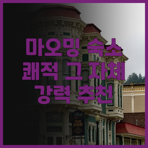 마오밍 리징 호텔 후기 쾌적한 객실과