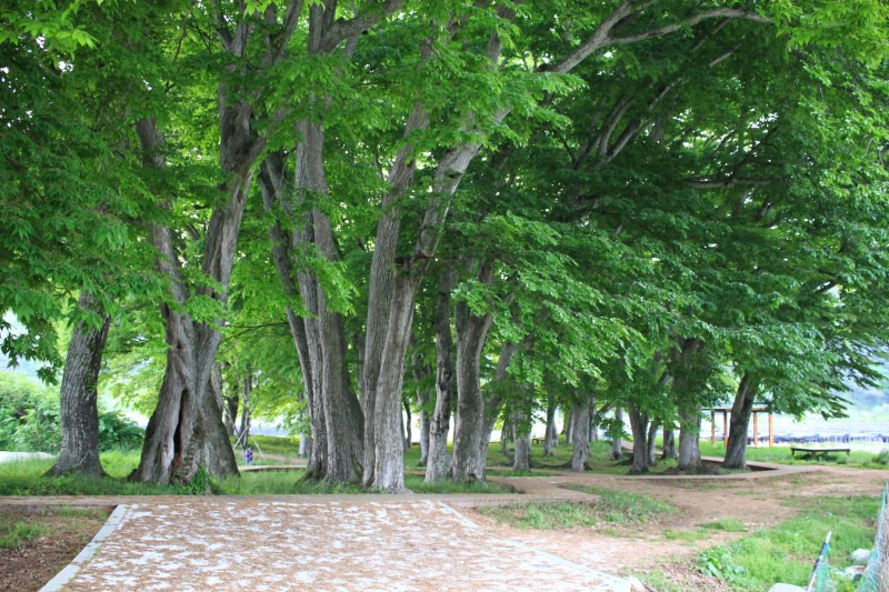 남원 가 볼만한 곳 베스트 10