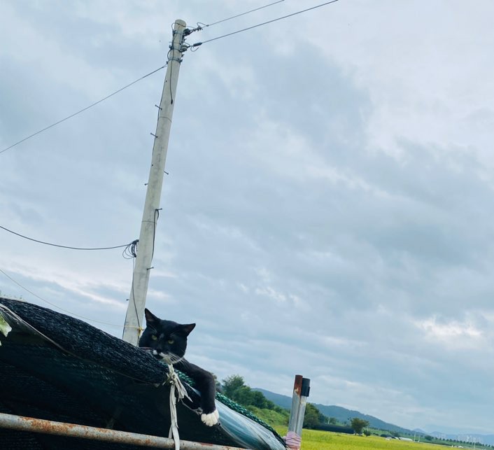 가을 들판 사진 가을 들판에서 7