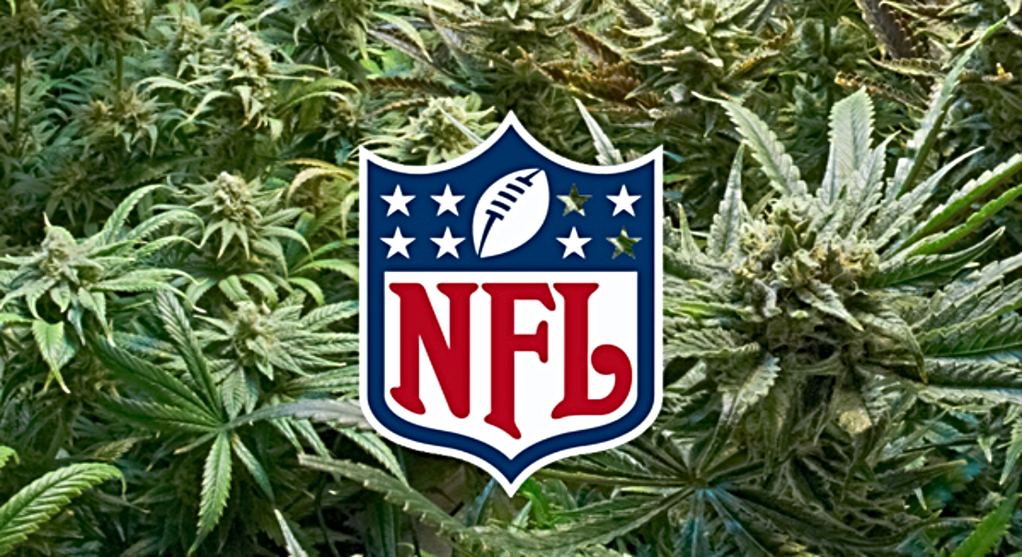  반쪽짜리 멕시코 대마 합법안, 춘천시 한국형 대마 개발, NFL(미식축구) 대마 연구 투자