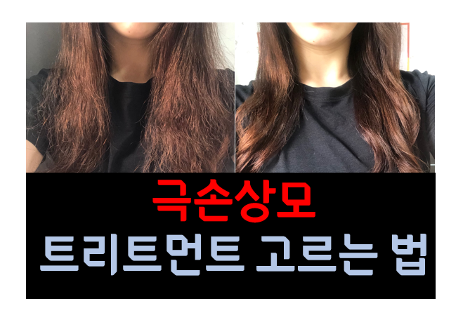  극손상모 홈케어 : [ 다봉쓰 하이PPT 트리트먼트 ] 후기 , 트리트먼트 고르는 법