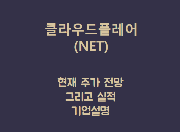  클라우드플레어 (NET) 디도스든 뭐든 드루와 드루왓