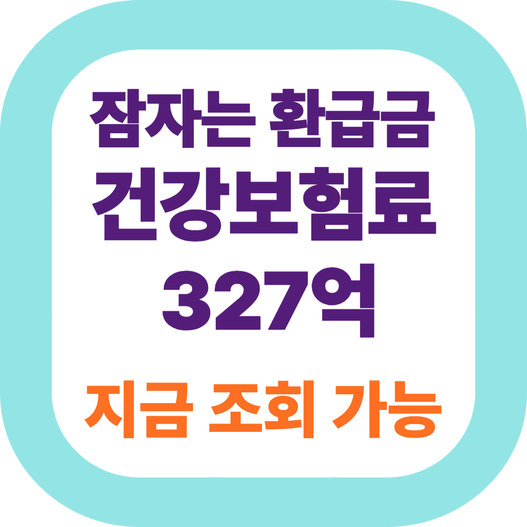 잠자는 건강보험료 환급금 327억 지금 조회가능