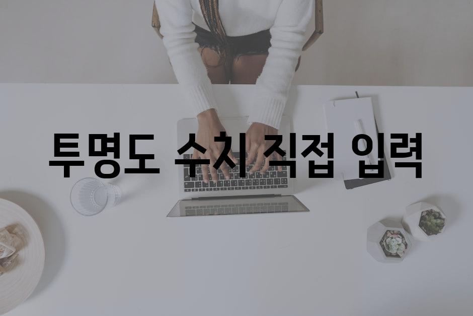 투명도 수치 직접 입력