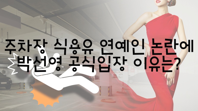  주차장 식용유 연예인논란에 박선영 공식입장 이유는?