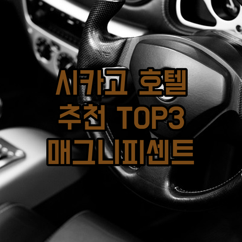 시카고 여행, 어디서 묵을까? 매그니