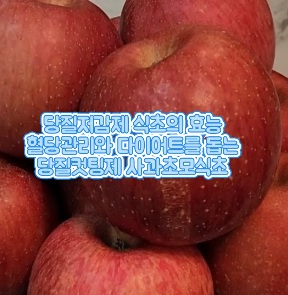 당질저감제-식초-추천