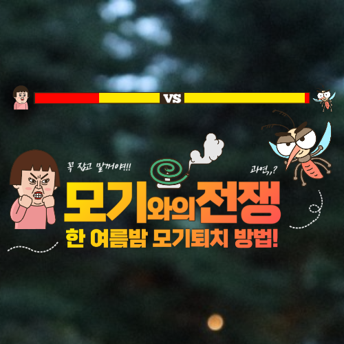  모기물린 곳 부음자국,물집 및 흉터발생 원인 알려드려요