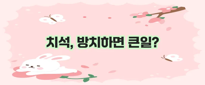 치석 제거하는법 치석제거기, 치약