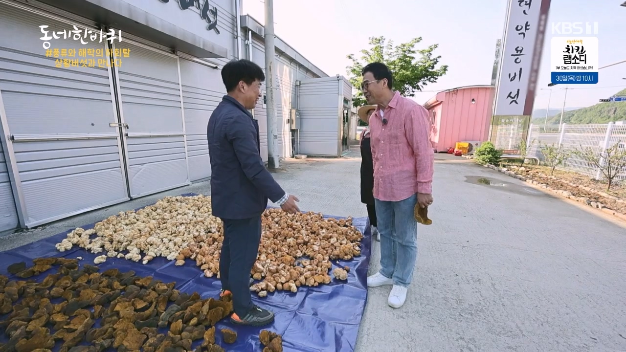 동네 한 바퀴.E275.240526p-NEXT.mp4_20240526_162426.713.jpg