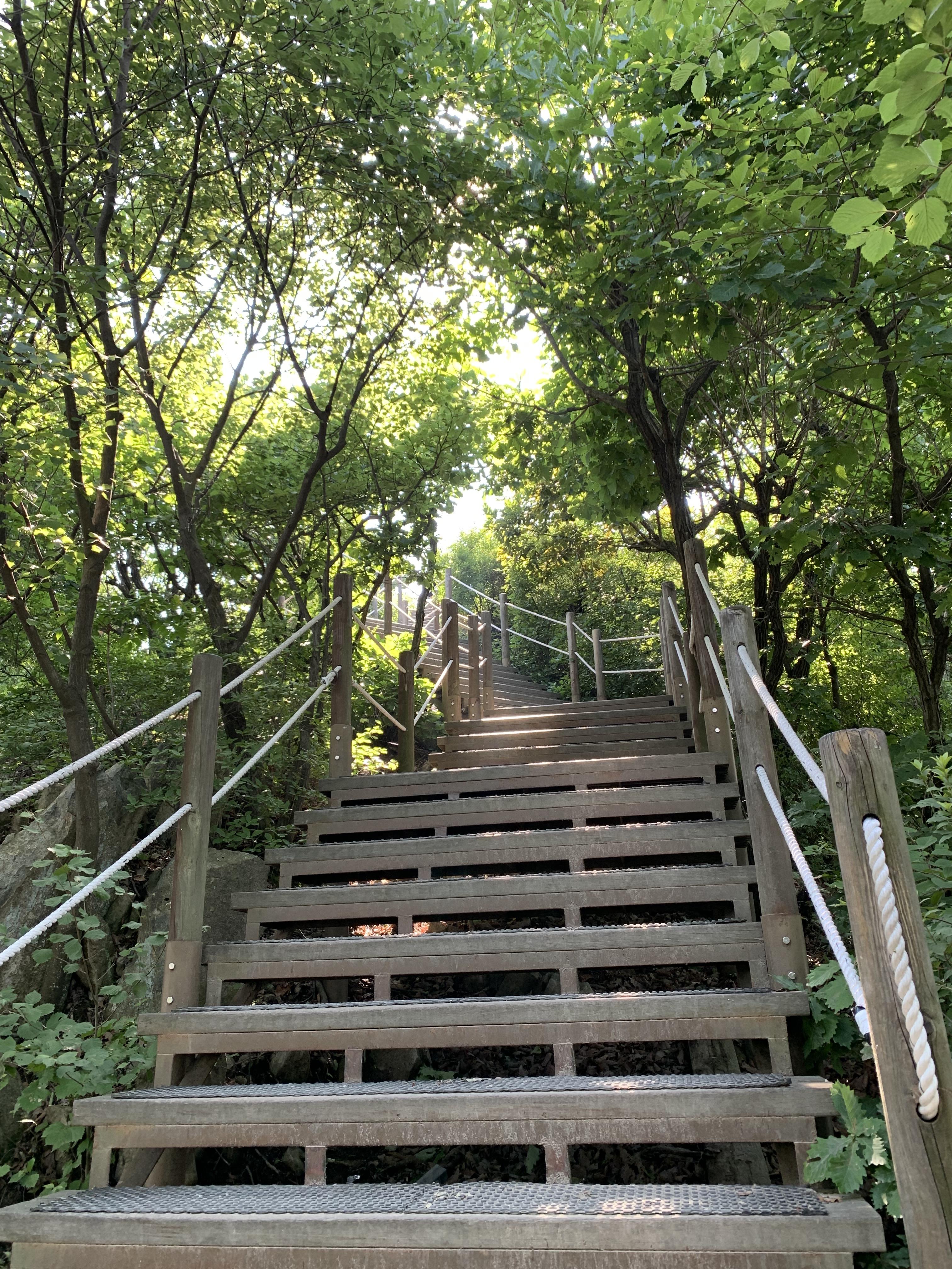 계양산의 끝없는 계단 길