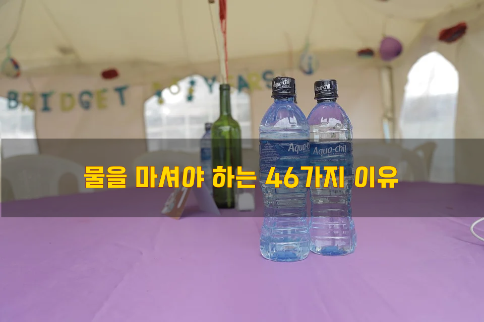  물을 마셔야 하는 46가지 이유