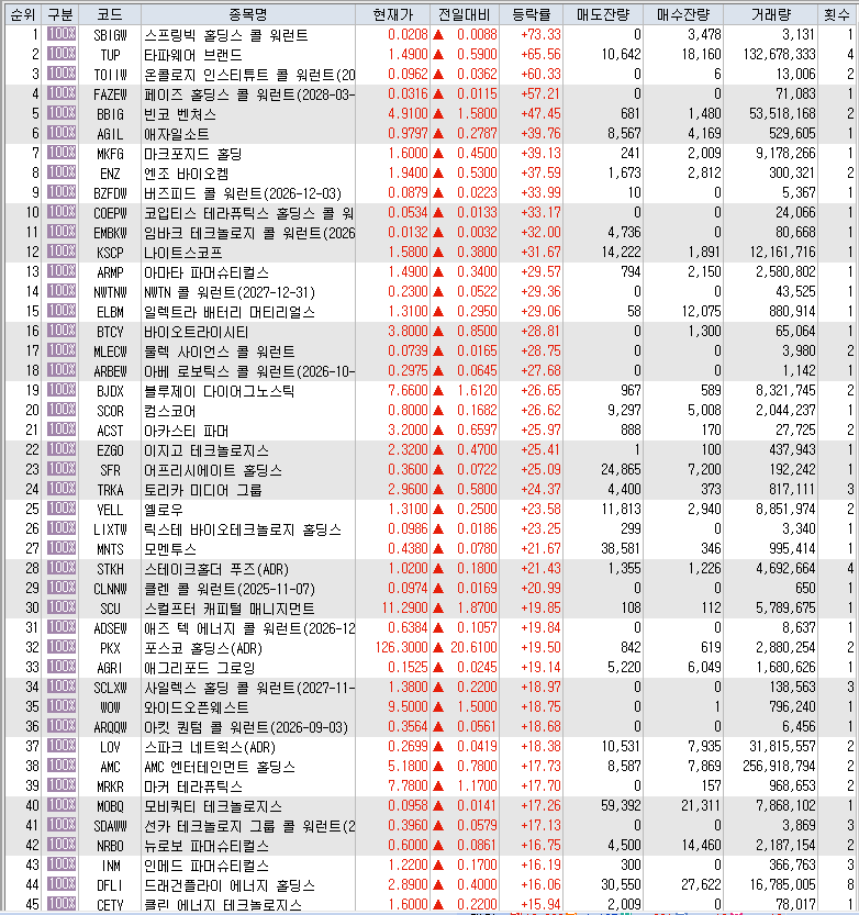  7월24일 미국주식 상승률 상위 종목 TOP 300