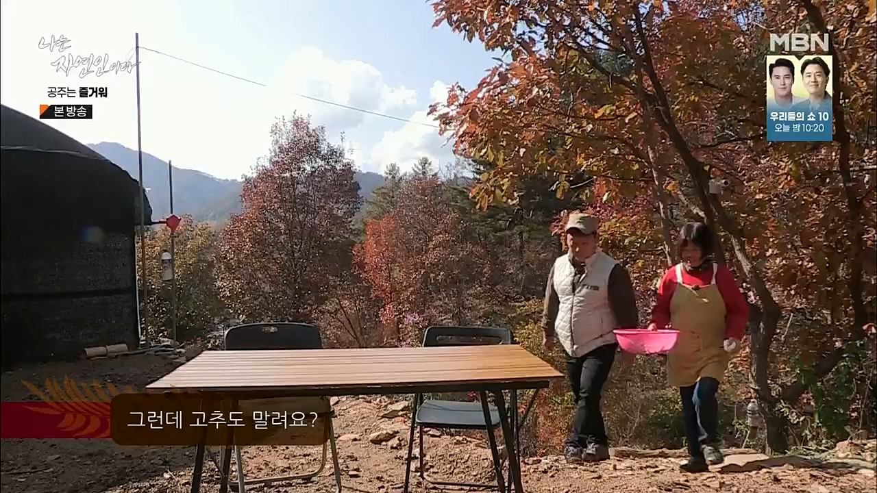 나는 자연인이다.E528.221117p.H264-F1RST.mp4_20221119_185627.071.jpg