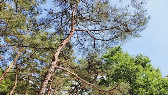 송계계곡