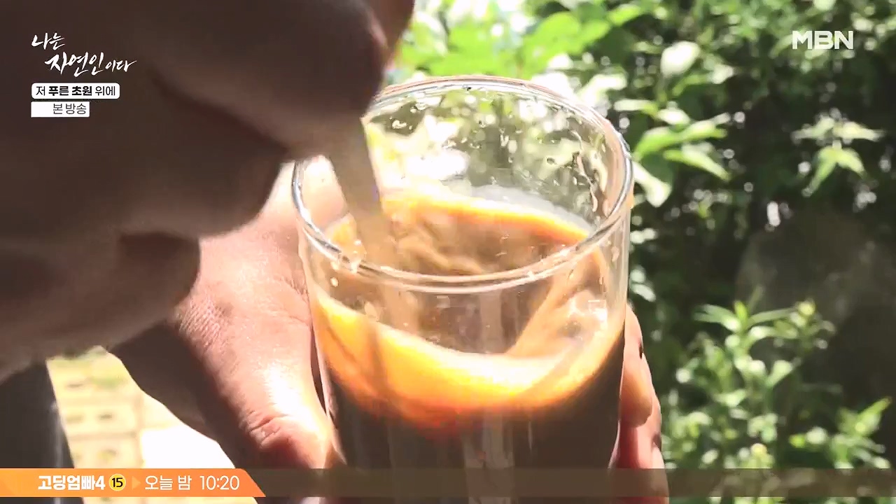 나는 자연인이다.E607.240530p-NEXT.mp4_20240530_200528.487.jpg