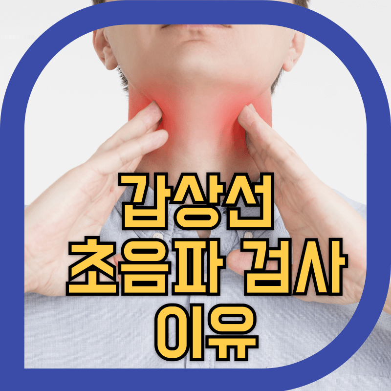 신체 목 부위에 갑상선으로 위치를 나타내는 사진