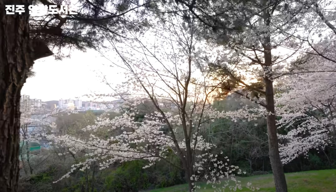 남도 여행지