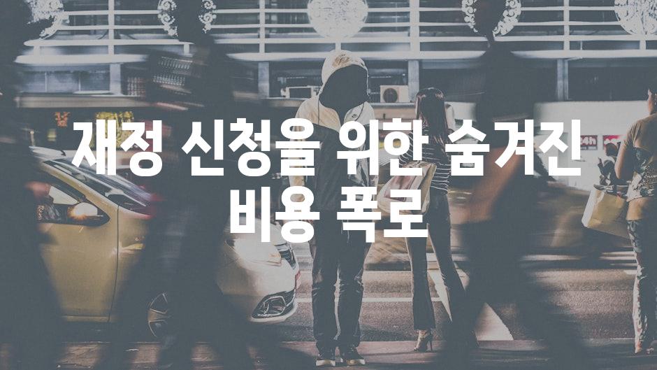 재정 신청을 위한 숨겨진 비용 폭로