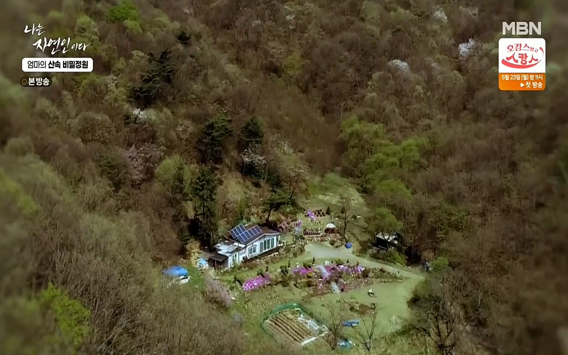 나는 자연인이다.E501.220512p-NEXT.mp4_20220512_185611.476.jpg