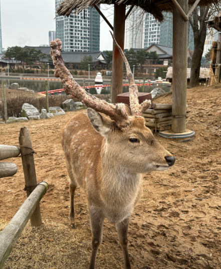 송도 센트럴파크1