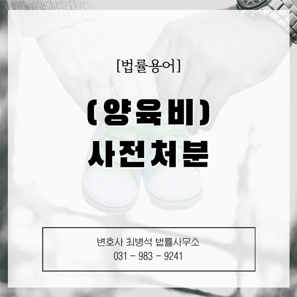 양육비사전처분