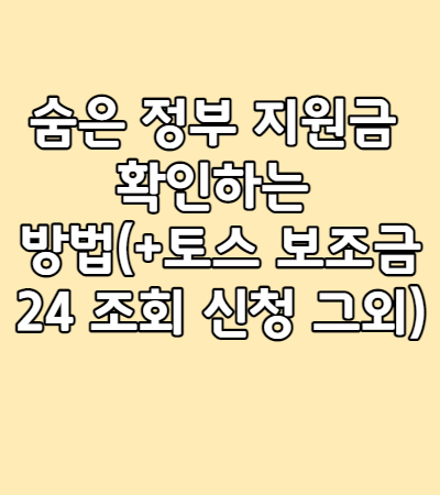  숨은 정부 지원금 확인하는 방법(+토스 보조금24 조회 신청 그외)