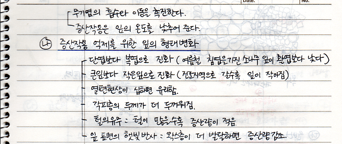  [수목생리학] 증산작용의 기능