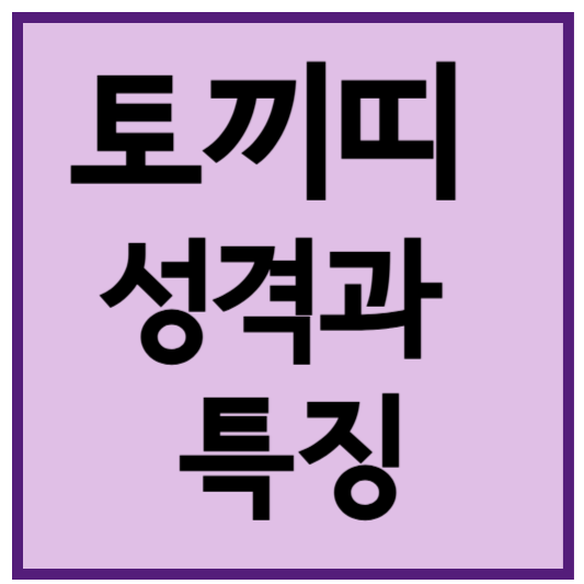 토끼띠 성격 및 특징