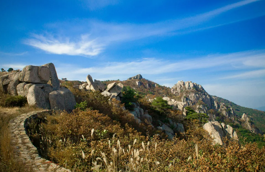 [100대 명산] 금정산 교통수단과 등산코스, 근처 관광지 완벽 가이드!