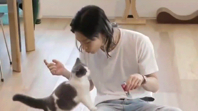  꿍이 사진 + 움짤 (feat.태민 고양이)
