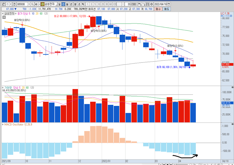 삼성전자 주봉 MACD 음 증가 중지