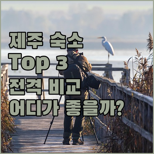 제주 여행, 어디서 묵을까? 인기 호