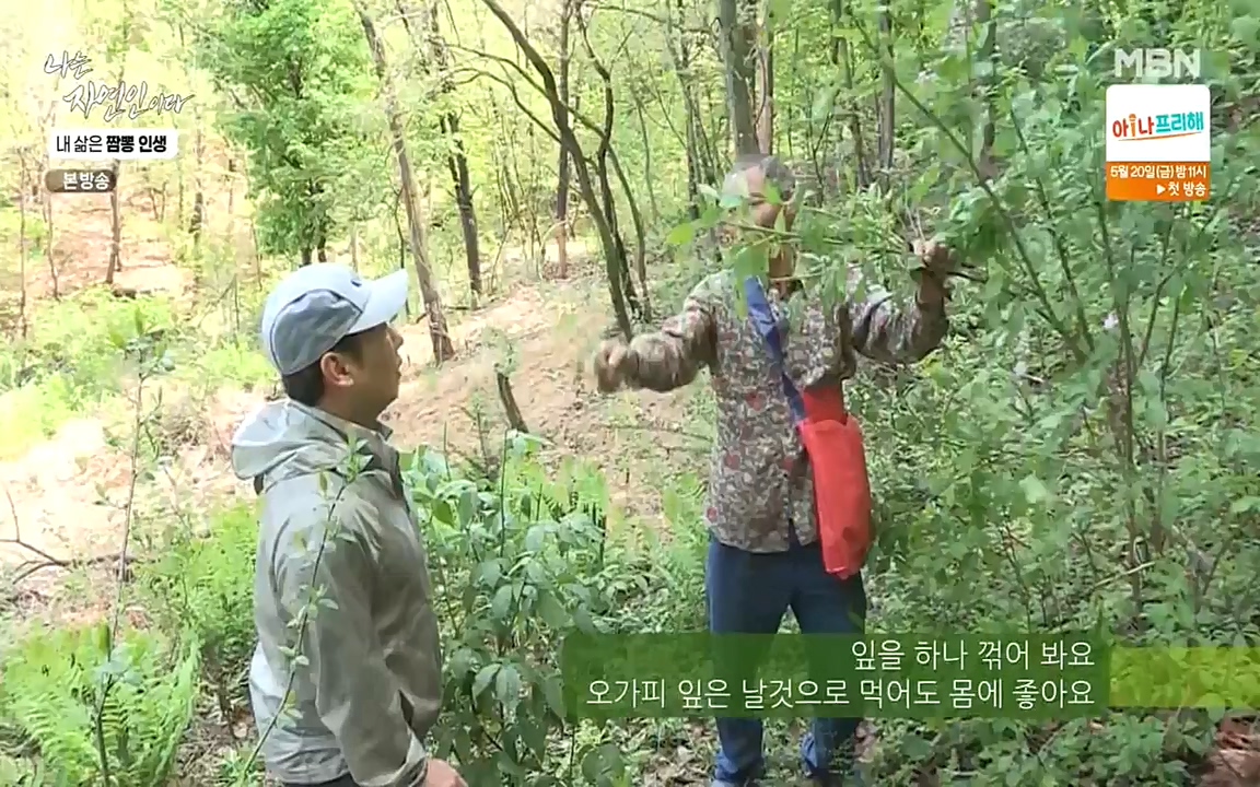 나는 자연인이다.E502.220519p-NEXT.mp4_20220519_182339.669.jpg