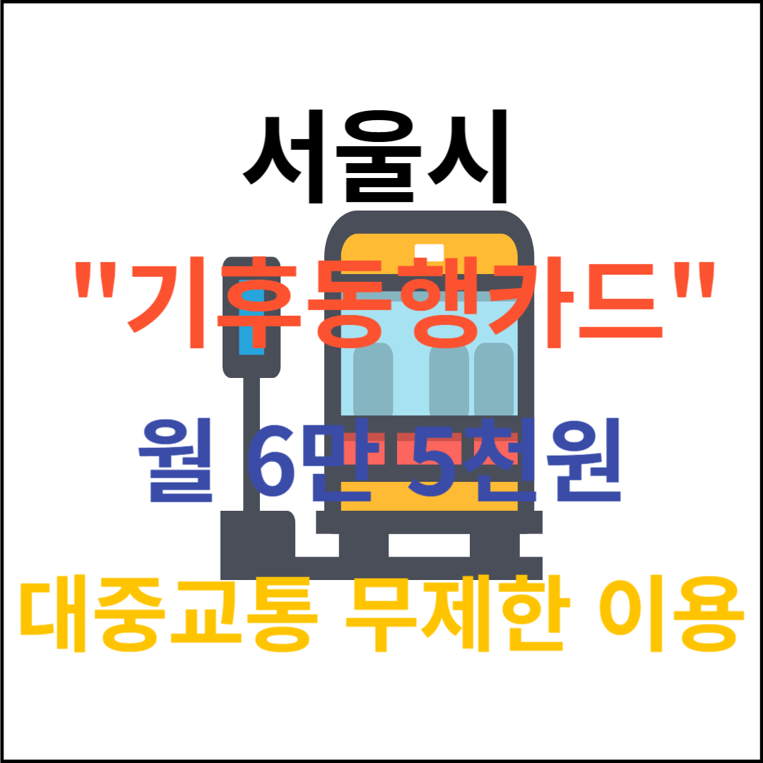 서울시 기후동행카드