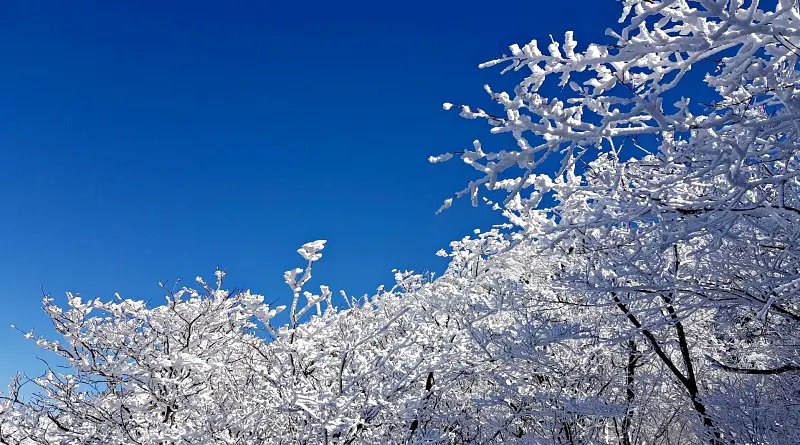 지리산 설경 상고대