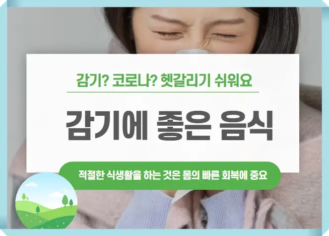 감기에 좋은 음식