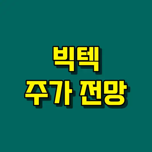 빅텍 주가 전망