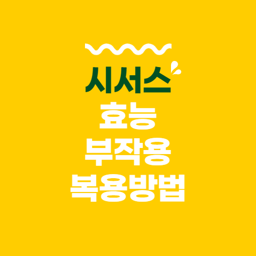  시서스 효능 부작용 복용방법 바로보기