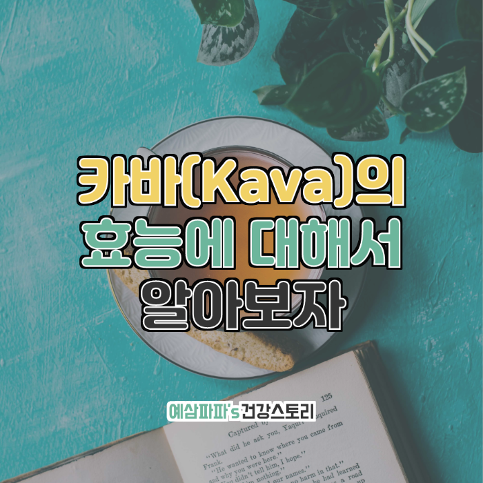  카바(Kava)의 효능에 대해서 알아보자