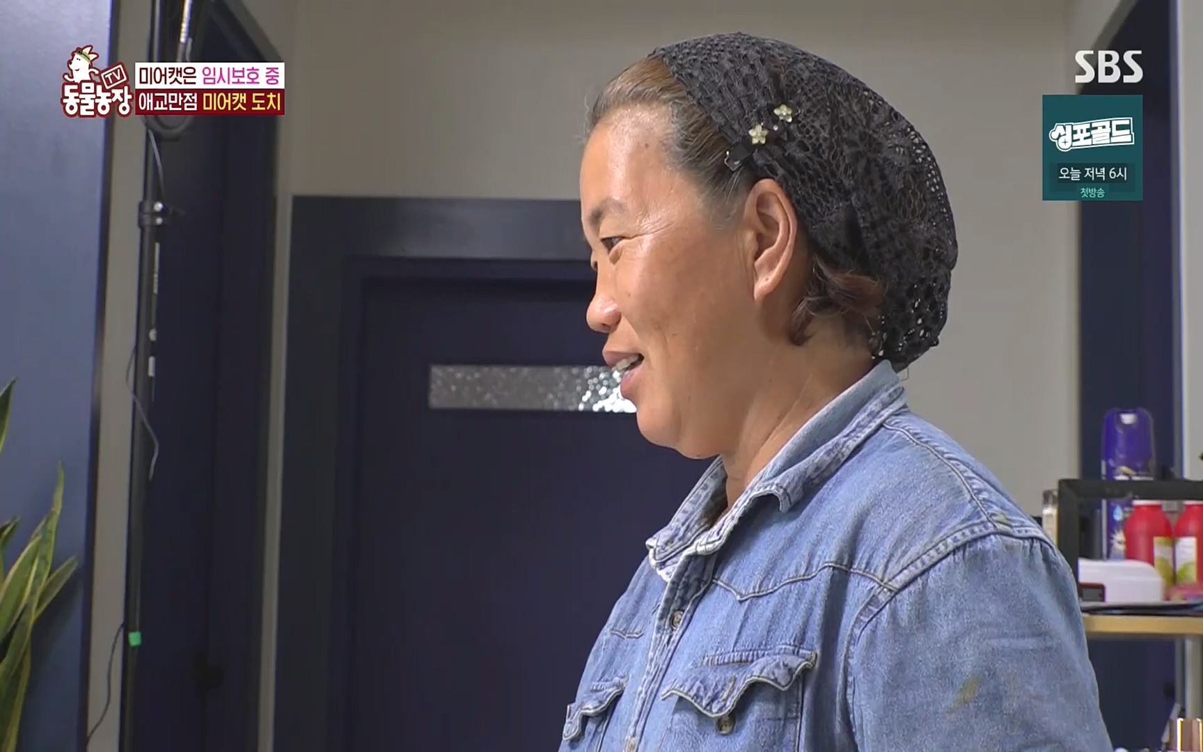 TV 동물농장.E1088.220925p.H264-F1RST.mp4_20220925_174409.475.jpg