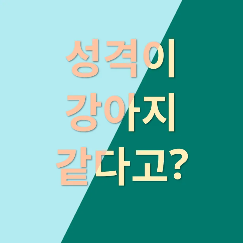 메인쿤 특징_3
