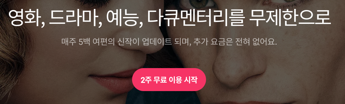  watcha(왓챠) 자동결제 환불방법 & 환불후기 (2가지 환불방법)