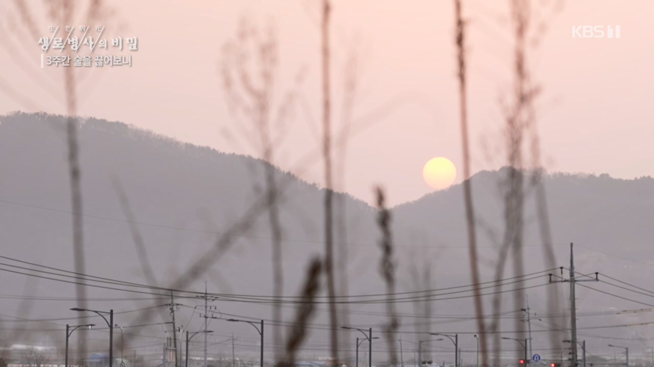 생로병사의 비밀.E865.230420p.H264-F1RST.mp4_20230420_202155.977.jpg
