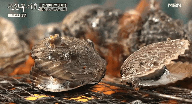 장작불-위에서-입을-벌려가는-가리비들