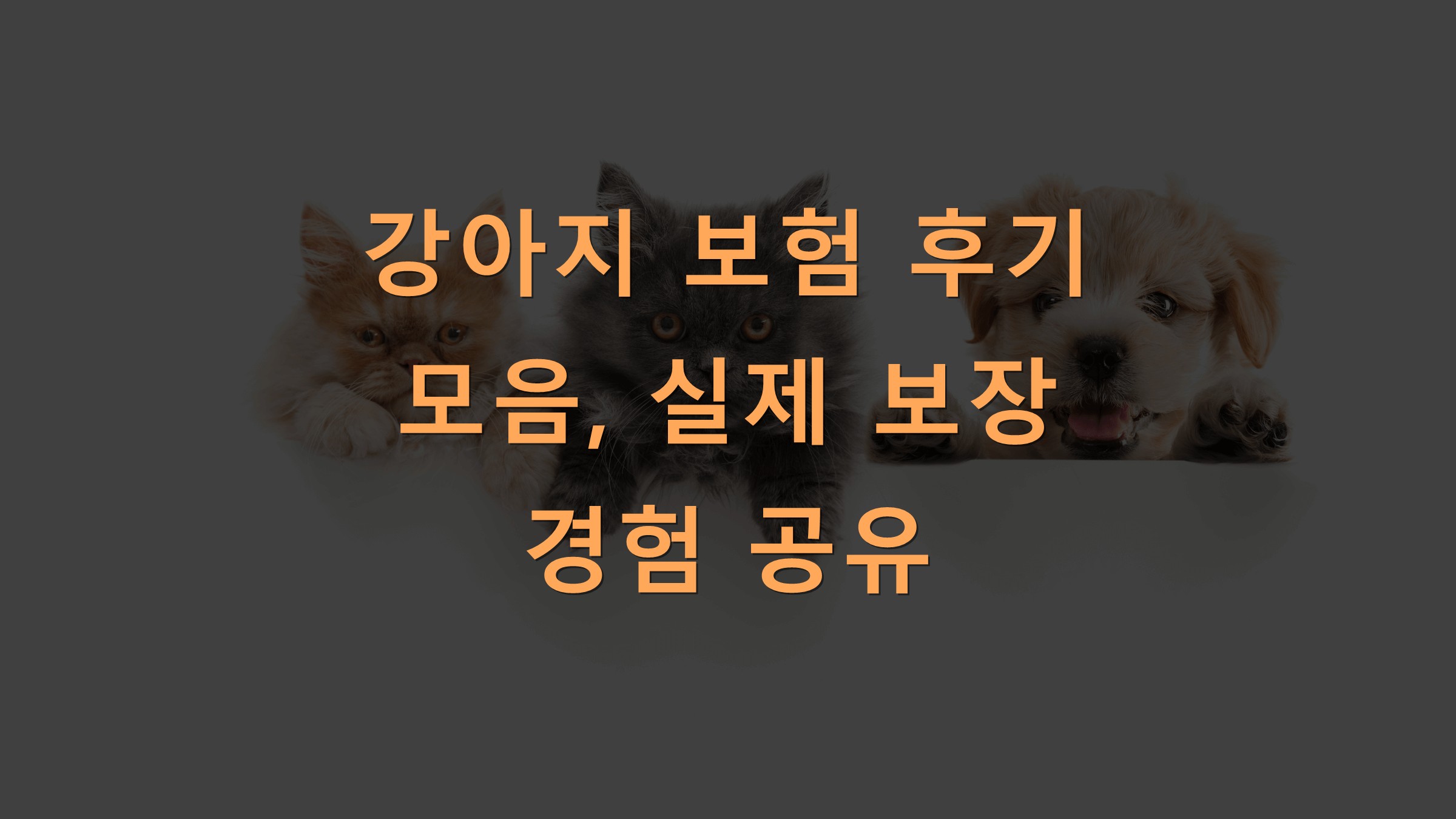 강아지 보험 후기 모음, 실제 보장 경험 공유