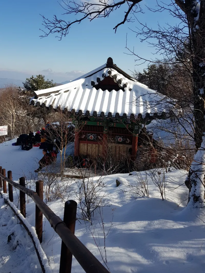 강원도 태백산 설경