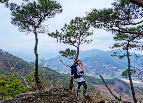 쫓비산