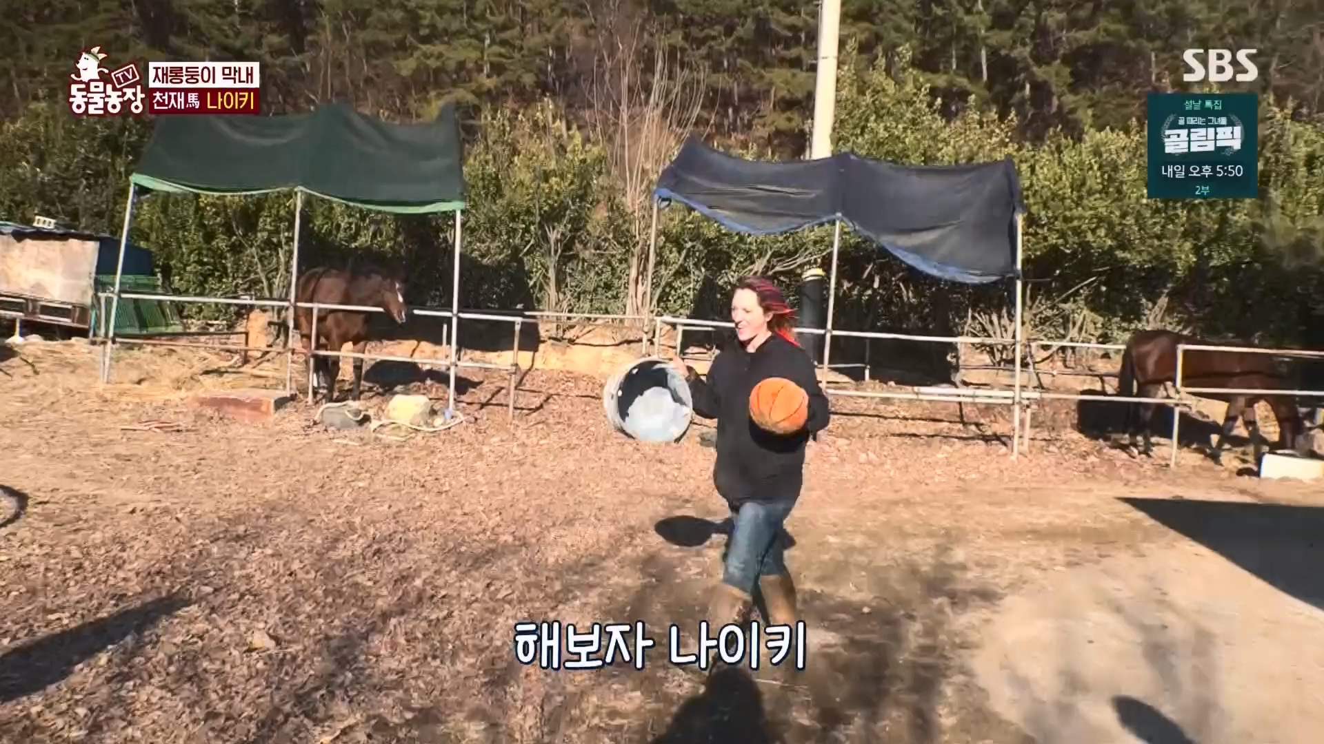 TV 동물농장.E1158.240211p.H264-F1RST.mp4_20240211_194055.484.jpg